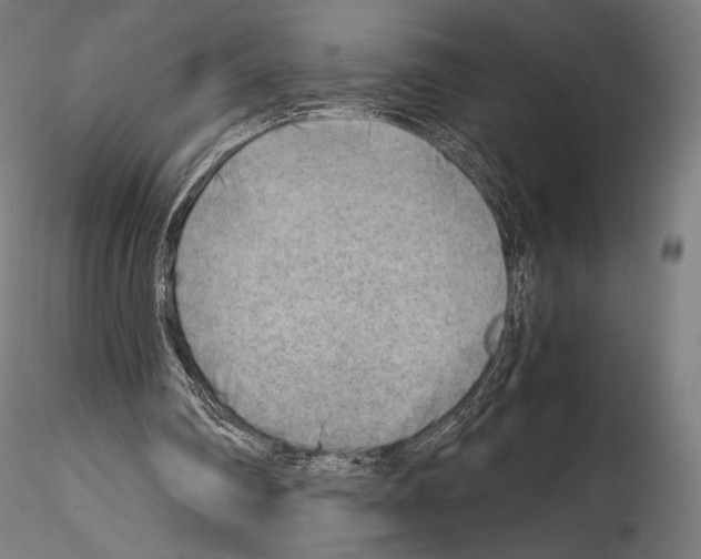 X0000114560290200911301255