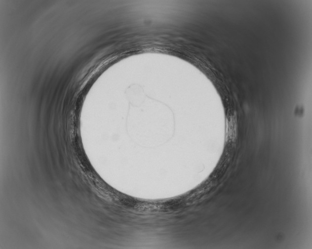 X0000114560291200911301255