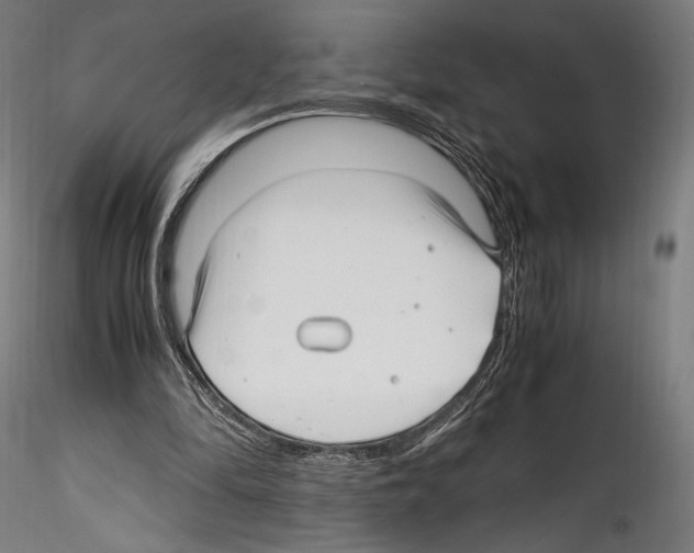 X0000114560294200911301255