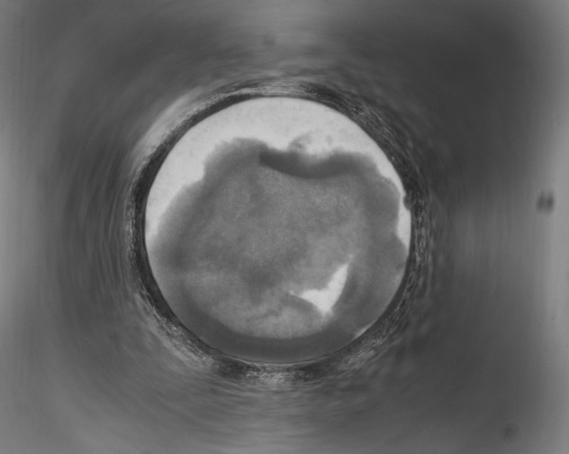 X0000114560295200911301255