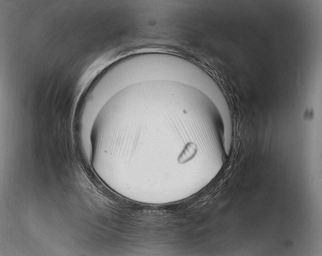 X0000114560296200911301255