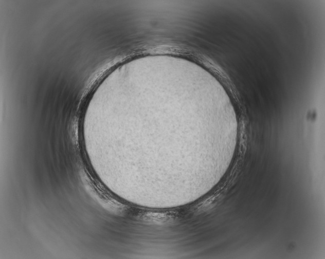 X0000114560298200911301255