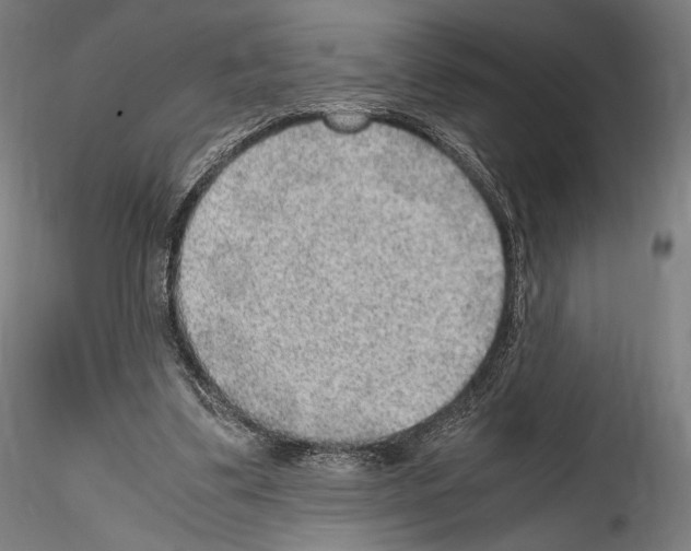X0000114560299200911301255