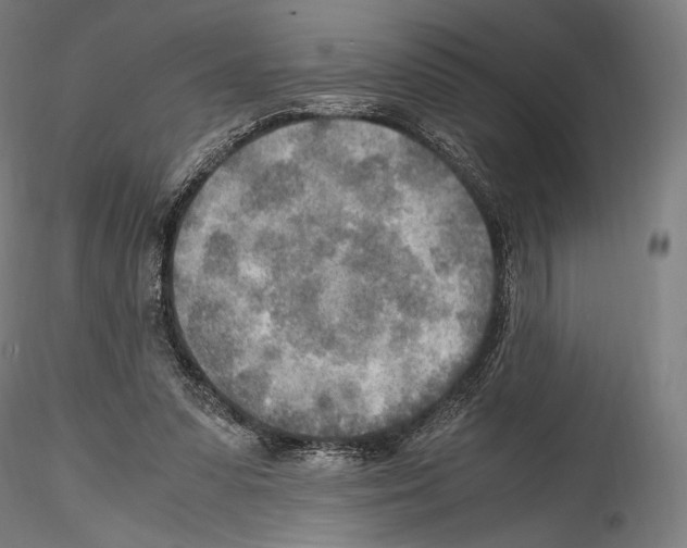 X0000114560303200911301255