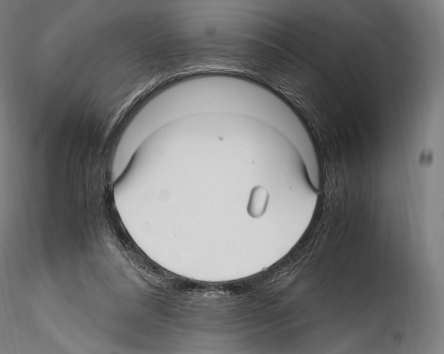 X0000114560304200911301255