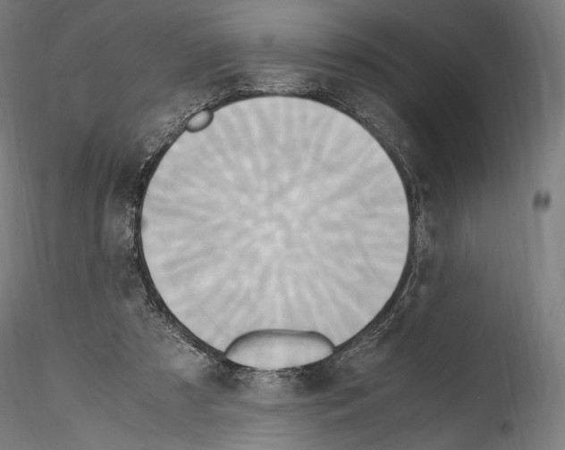 X0000114560305200911301255