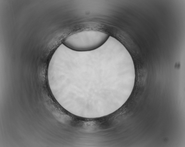 X0000114560309200911301255