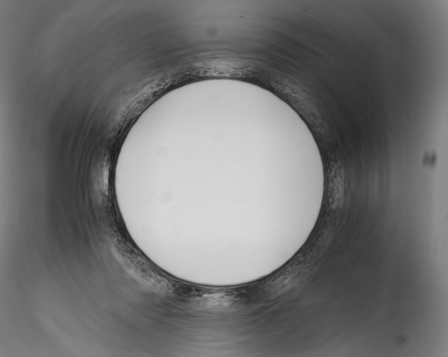 X0000114560310200911301255