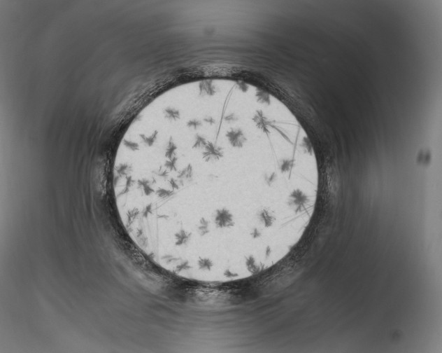 X0000114560311200911301255