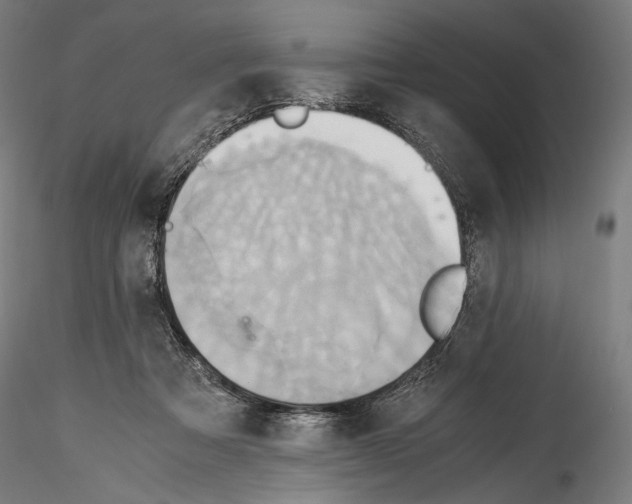 X0000114560313200911301255