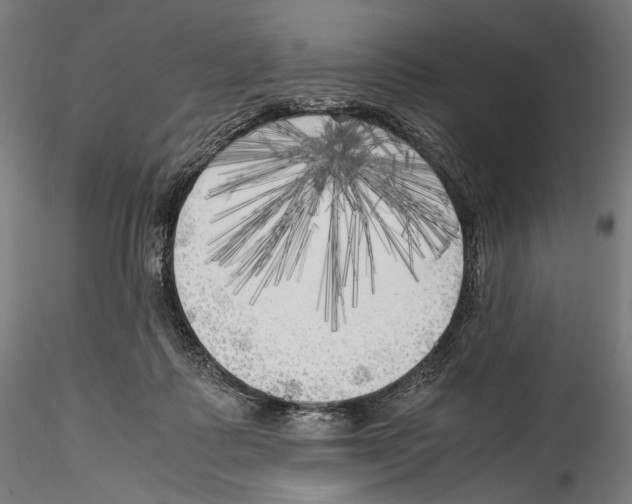 X0000114560315200911301255