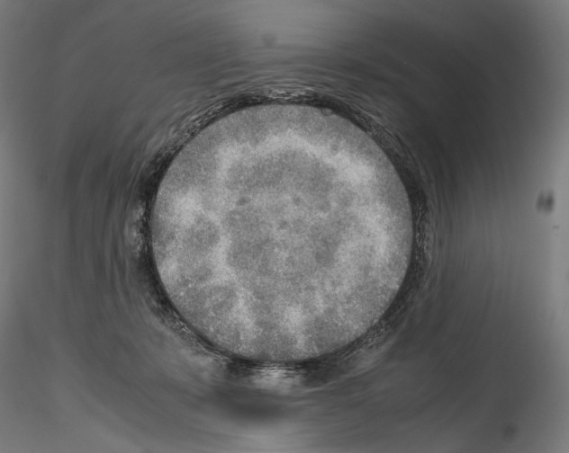 X0000114560319200911301255