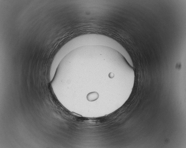 X0000114560320200911301255