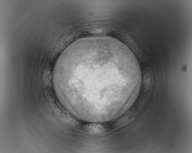 X0000114560322200911301255