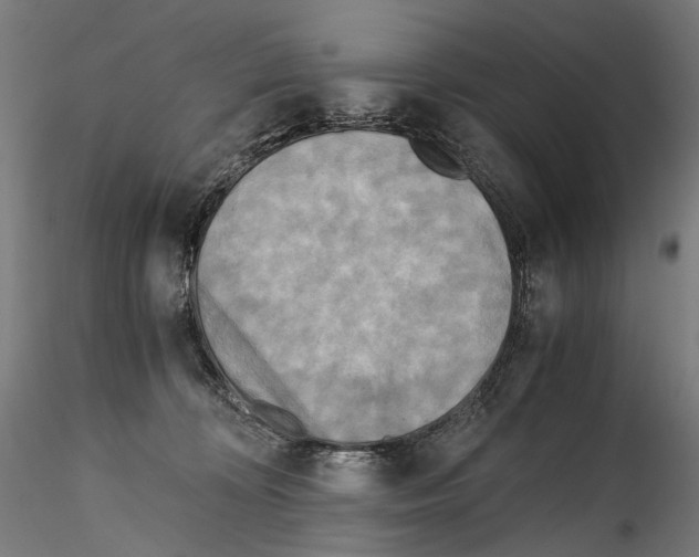 X0000114560324200911301255