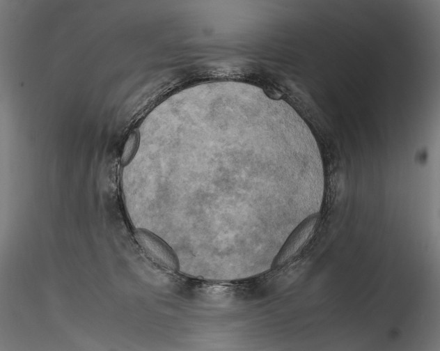 X0000114560325200911301254