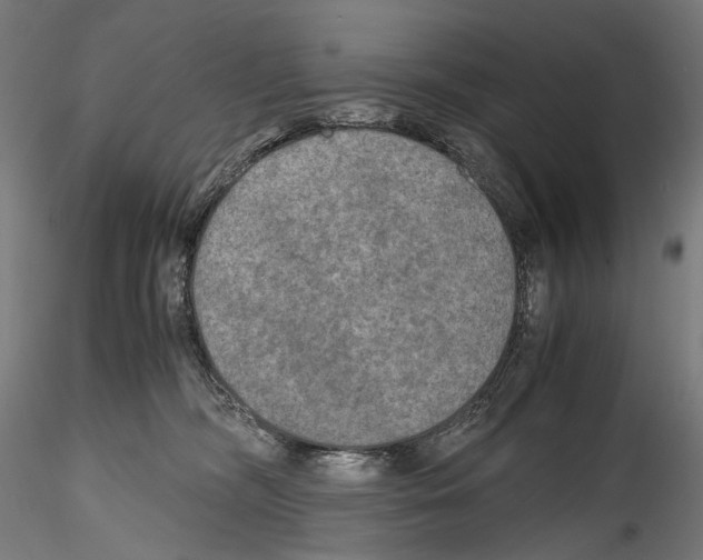 X0000114560326200911301254