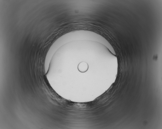 X0000114560328200911301254
