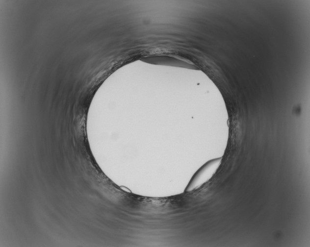 X0000114560329200911301254