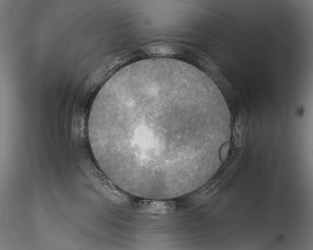 X0000114560330200911301254
