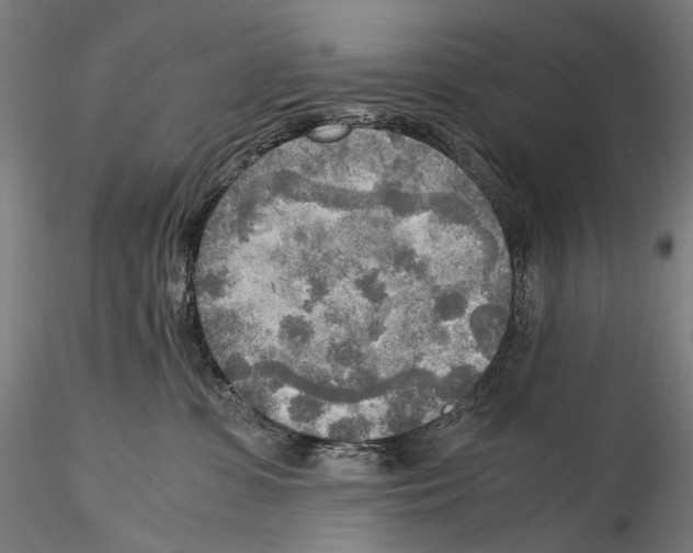 X0000114560331200911301254
