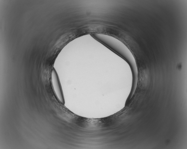 X0000114560333200911301254