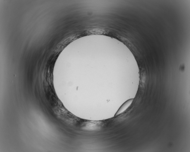 X0000114560334200911301254