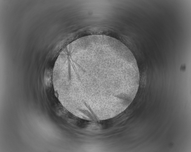 X0000114560335200911301254