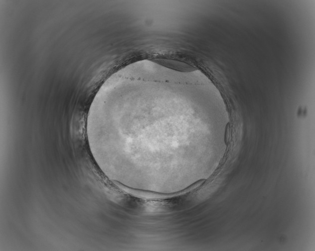 X0000114560336200911301254
