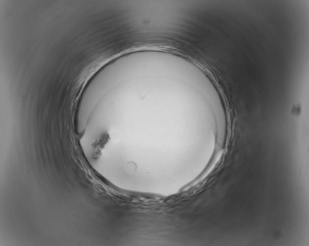 X0000114560337200911301253