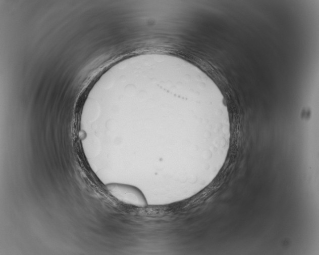 X0000114560338200911301253