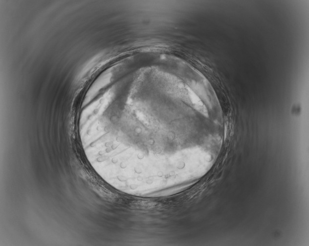 X0000114560339200911301253