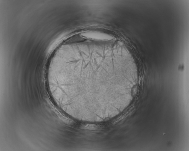 X0000114560341200911301253
