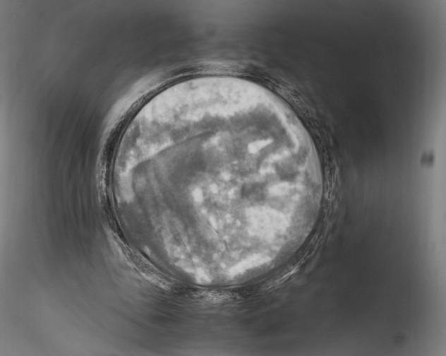 X0000114560343200911301253