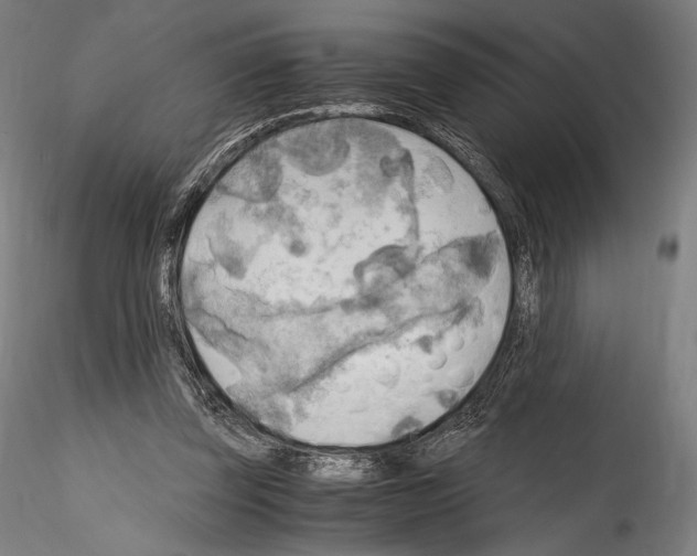 X0000114560347200911301253