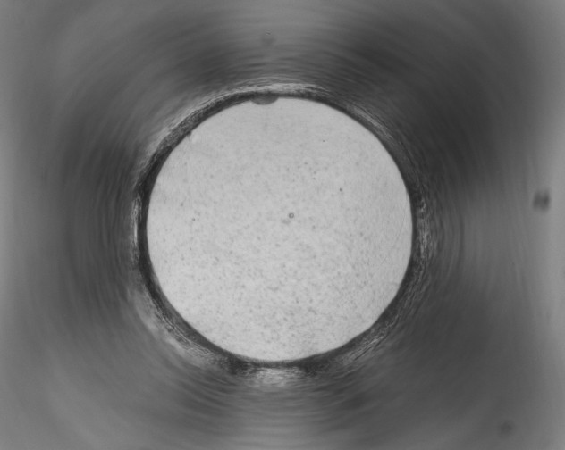 X0000114560350200911301254