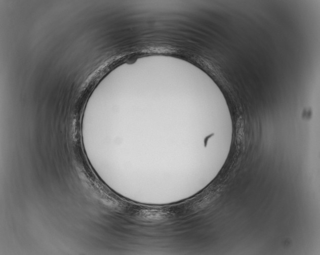 X0000114560351200911301254