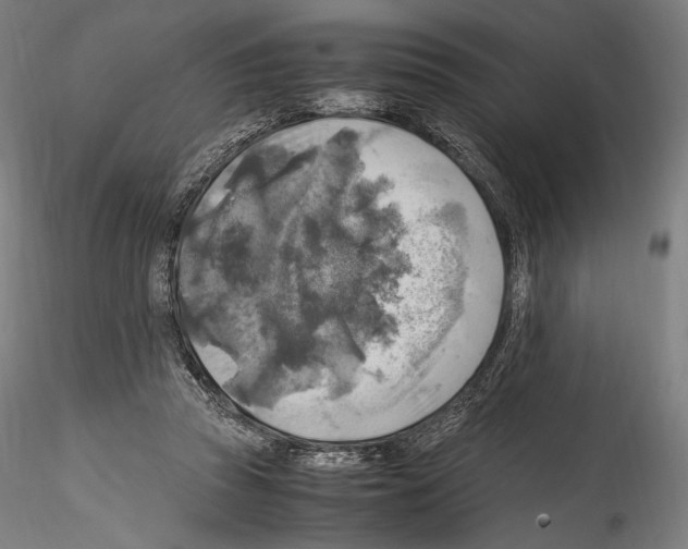 X0000114560353200911301254