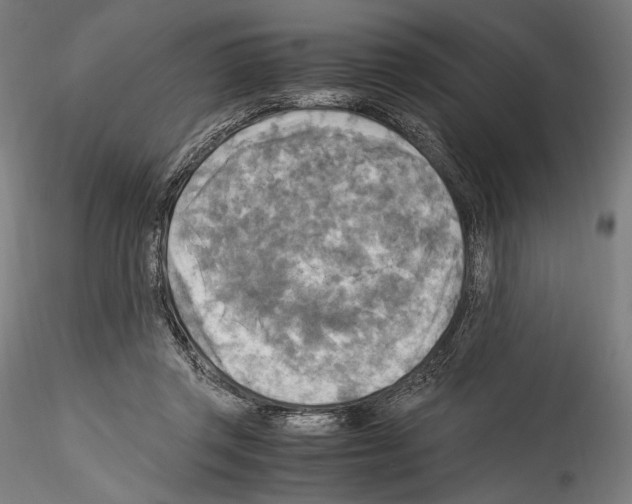 X0000114560357200911301254