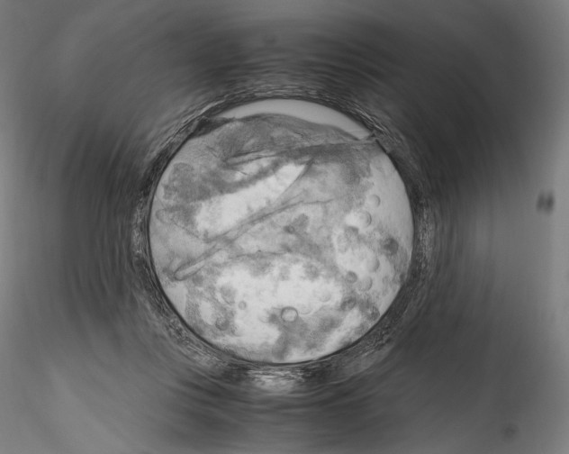 X0000114560359200911301254