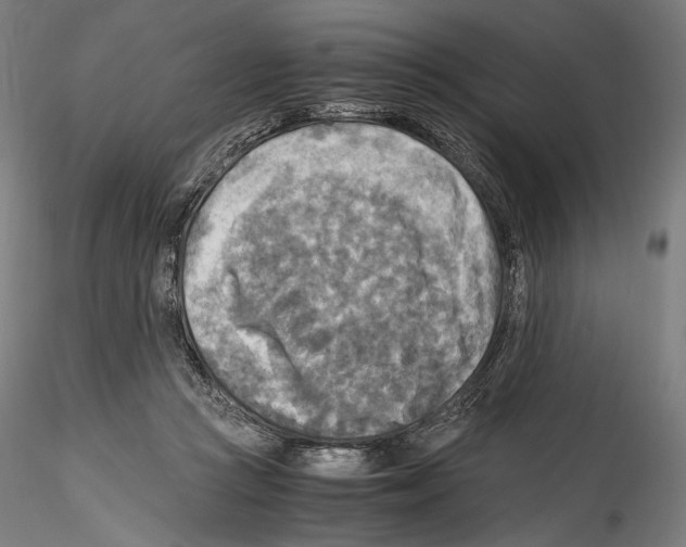 X0000114560361200911301254