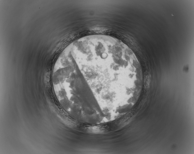 X0000114560365200911301254