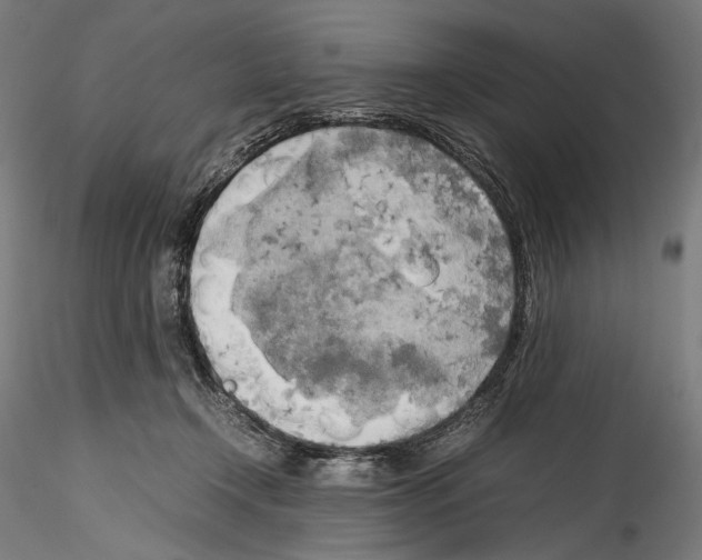 X0000114560366200911301254