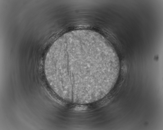 X0000114560369200911301254