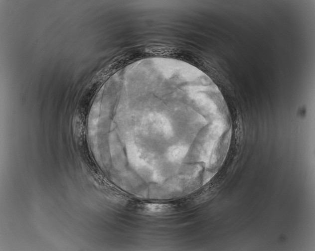 X0000114560371200911301254