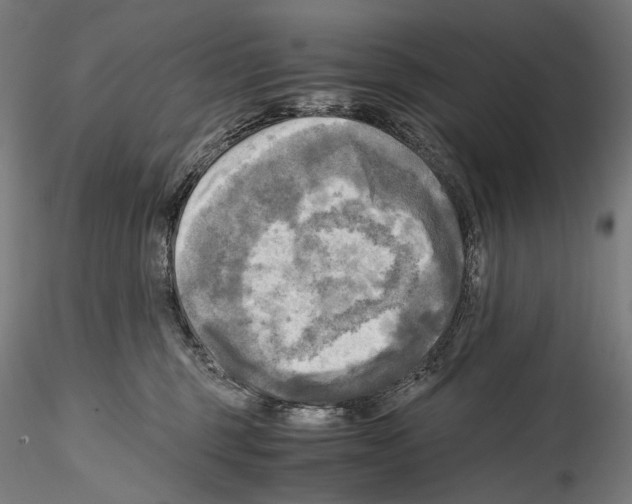 X0000114560375200911301254