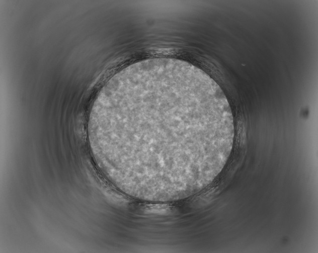 X0000114560377200911301254