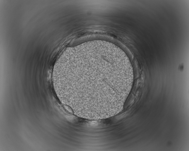 X0000114560382200911301254