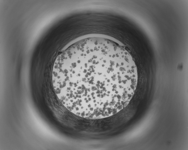 X0000114560383200911301254
