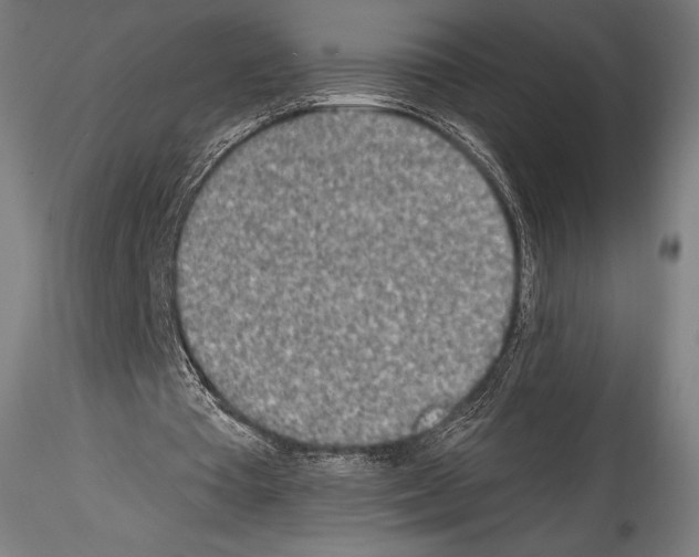 X0000114560385200911301253